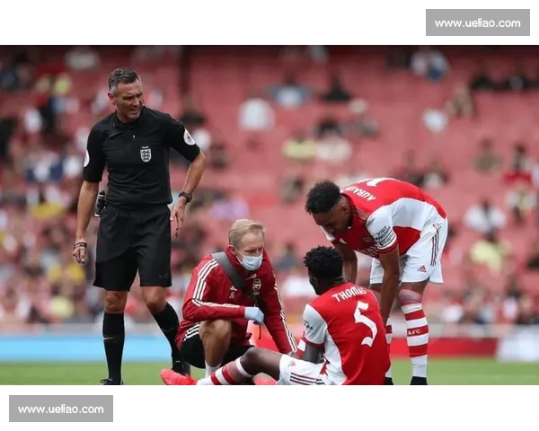 英超足球联赛赛季观赛指南与豪门黑马全面前瞻解析球迷必读手册篇 - 副本 - 副本