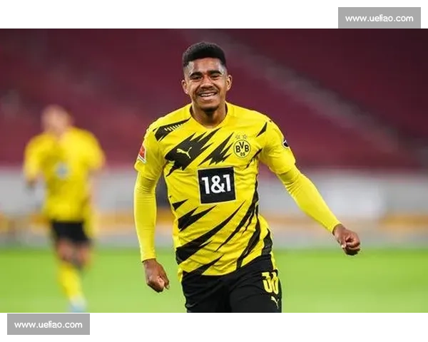 解析德甲足球联赛各队战术风格与精神气质全景图当代竞争格局透视 - 副本 - 副本 - 副本 (2) - 副本