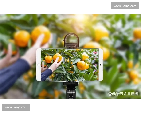 确保赛事直播稳定性优化技术及策略探索与应用 - 副本 (2) 确保赛事直播稳定性优化技术及策略探索与应用 - 副本 (2)